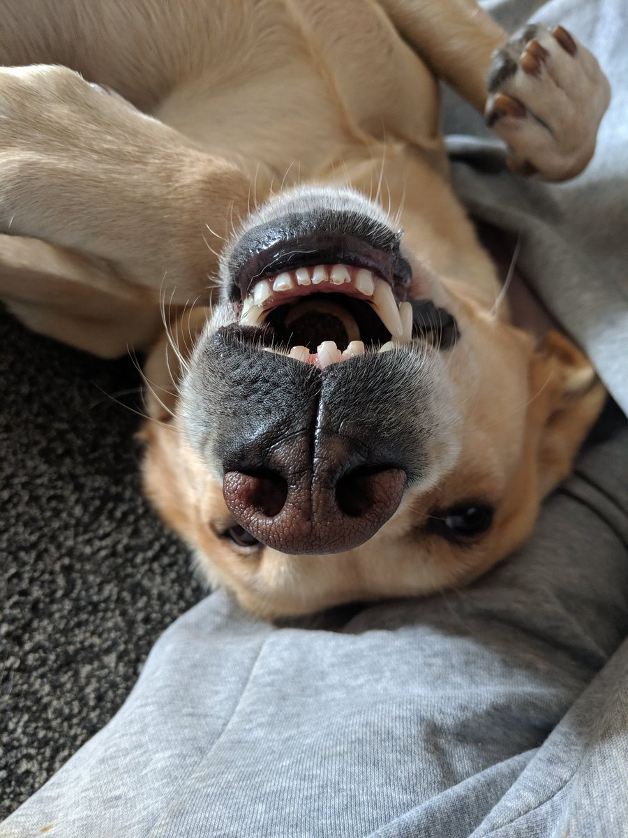 Mark (マーク) tweet media