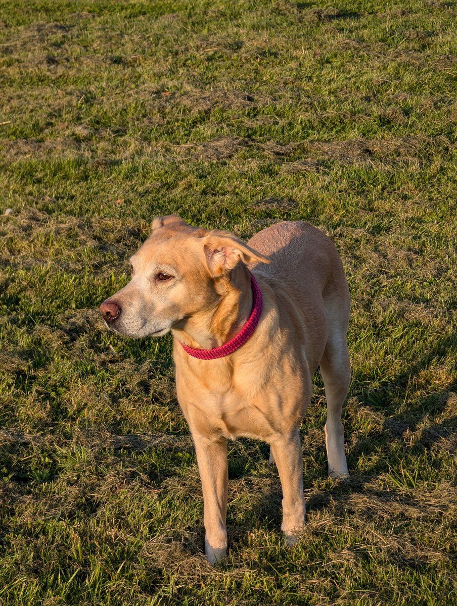 Mark (マーク) tweet media