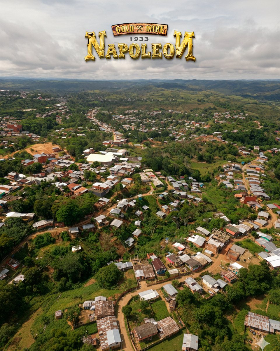 Napoleon Gold Mine tweet media