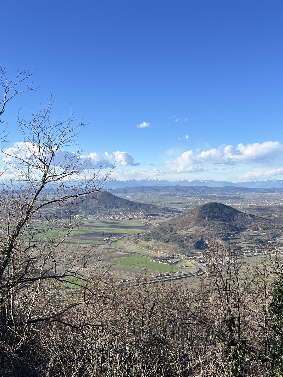 Oggi dal Monte Cero (Euganei) si vedevano le prealpi innevate. Non sempre sono visibili , un bel vedere .
