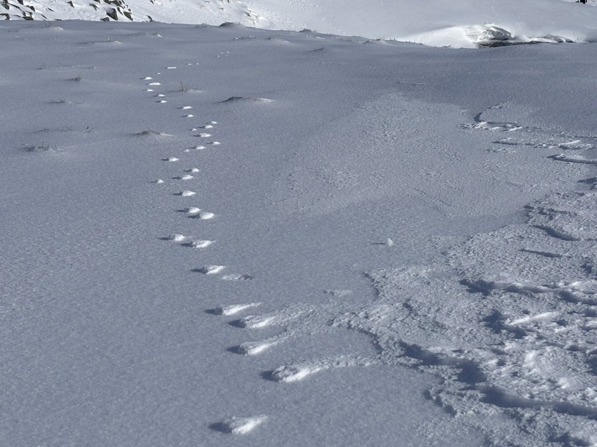 LakesWeather's tweet photo. Hopefully helpful to see more of the ‘beaut of a day’ ☀️in the Lakes. From Scafell Pike unusually! 🥶Similar conditions underfoot for Wed but with high winds and less sun! Crampons, microspikes, Ice axe needed on steeper ground 💪 Jim 
#BeAdventureSmart
@lakedistrictnpa https://t.co/F9IwNDeYz7