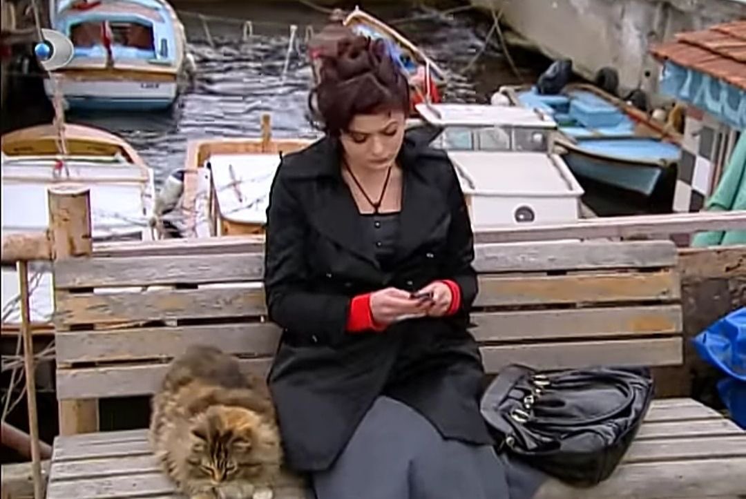 hayatımızdaki binbir olayla uğraşmaya çalışırken kedilerle bizdir