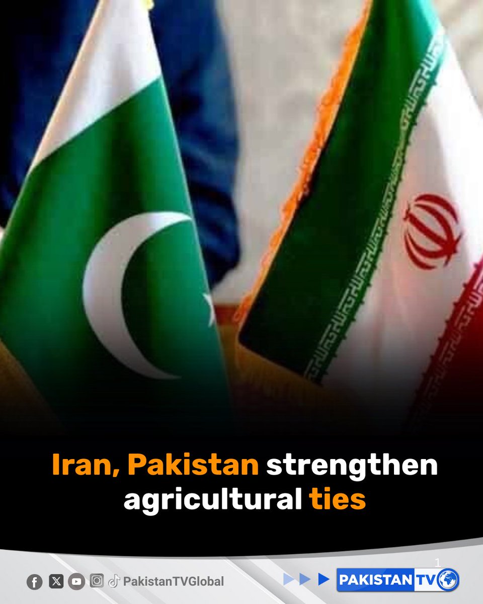 PakTVGlobal's tweet photo. Iranian agriculture minister visits Pakistan as both countries push forward key trade agreements in corn, rice, meat, and other farm products.

#IranPakistanTrade #AgricultureCooperation #BilateralTrade #FoodSecurity #CornTrade #RiceExports #MeatExports #RegionalPartnership #PakistanTV #PakistanTvglobal