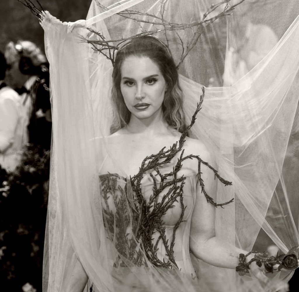 Lana Core tweet media