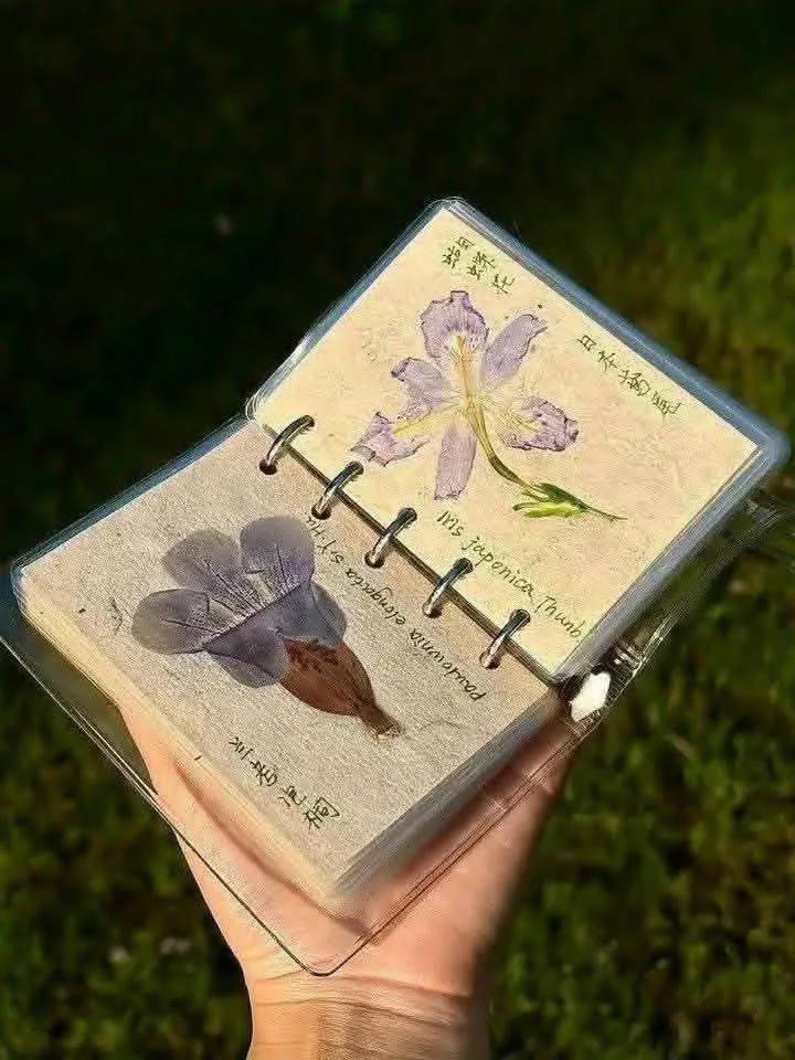 worldclick56's tweet image. book pressed flowers 🌸