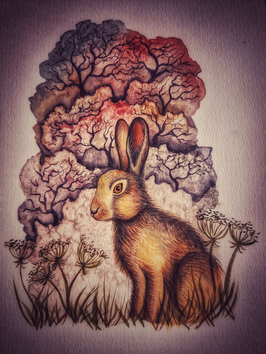 Bethan Briggs-Miller tweet media