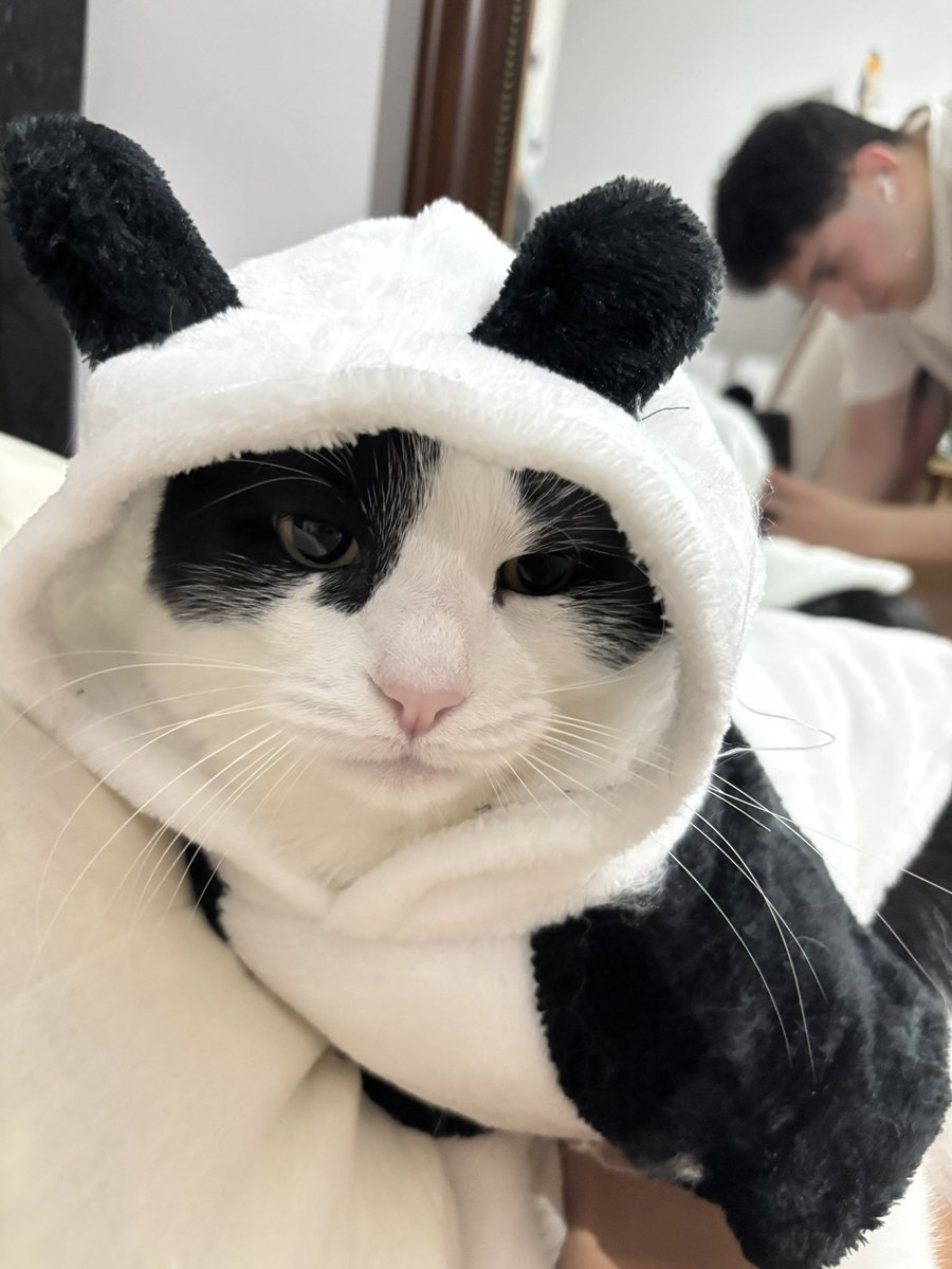 Ömer 🇳🇬 tweet media