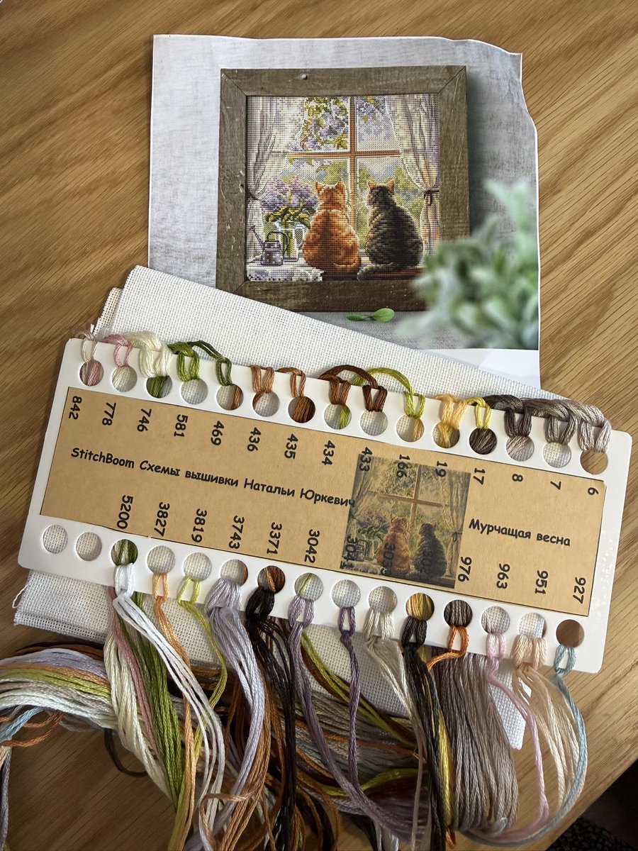 Julia Vinogradova tweet media