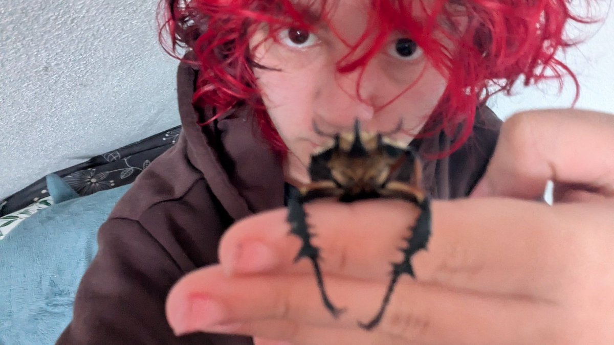 rio 🪲 bug oomf tweet media