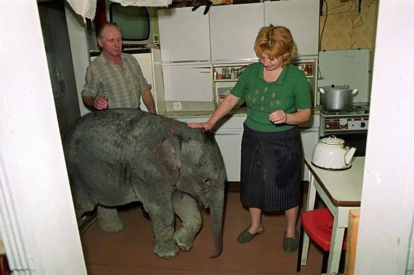 карайло 🤼‍♀️ tweet media