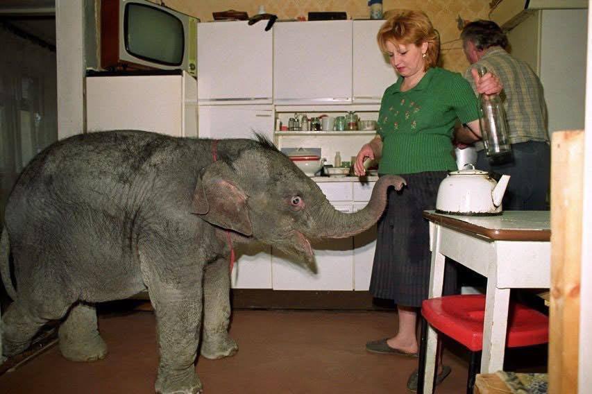 карайло 🤼‍♀️ tweet media