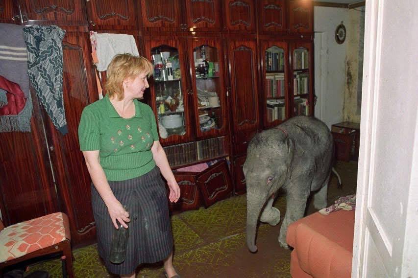 карайло 🤼‍♀️ tweet media