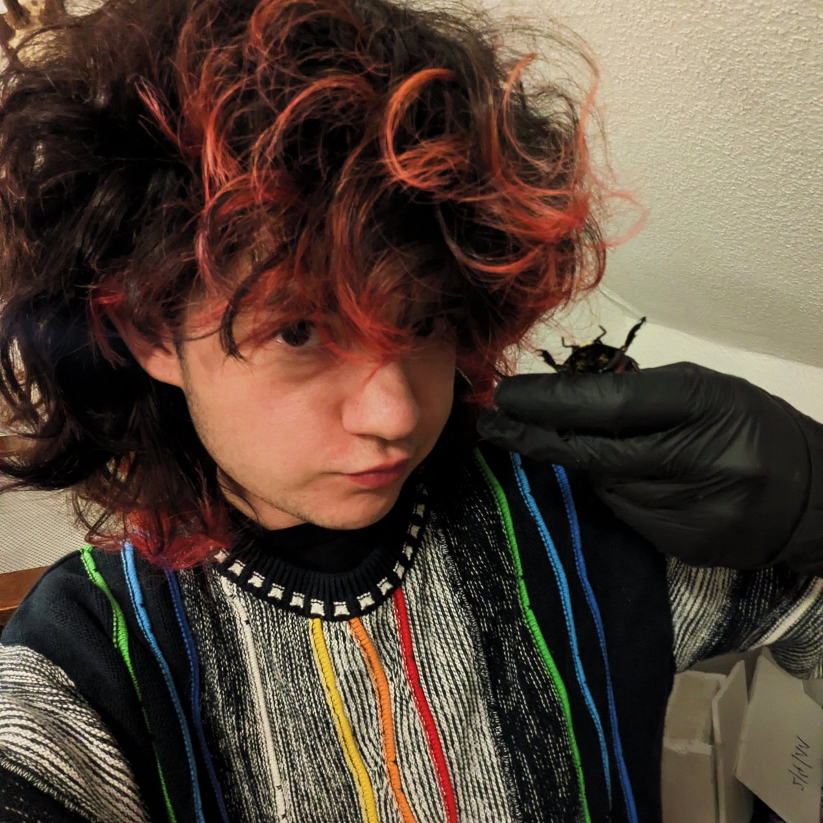 rio 🪲 bug oomf tweet media