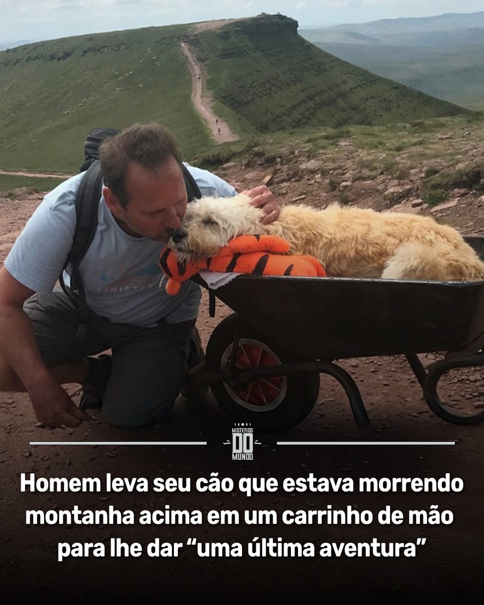 🐶 ❤️ Um gesto emocionante comoveu o mundo: Carlos Fresco decidiu proporcionar ao seu fiel companheiro Monty, um labradoodle que lutava contra a leucemia há 18 meses, uma última aventura inesquecível. Sabendo que o amigo de quatro patas estava enfraquecendo rapidamente e já não
