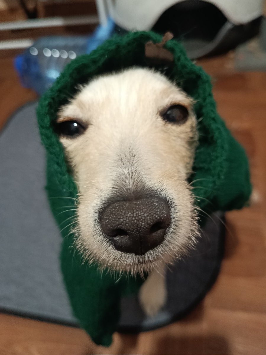 Вас понюхано
