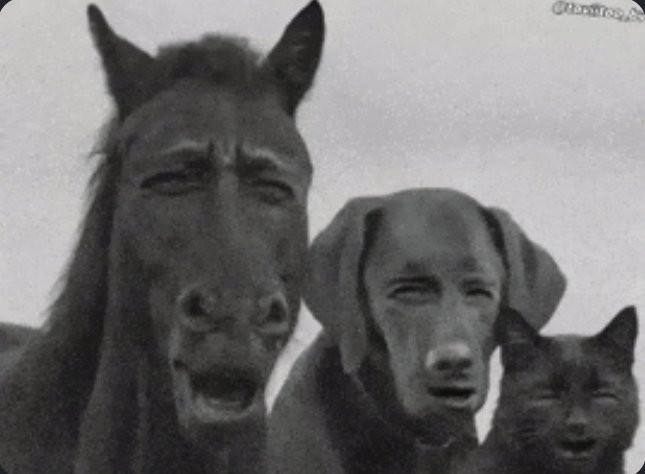 HandScar tweet media