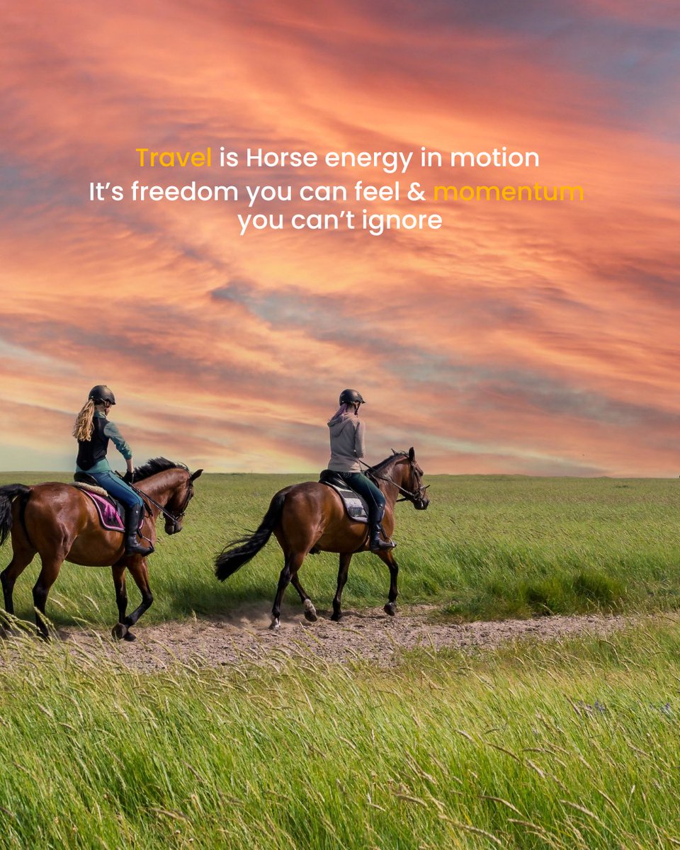 OneTravel tweet media