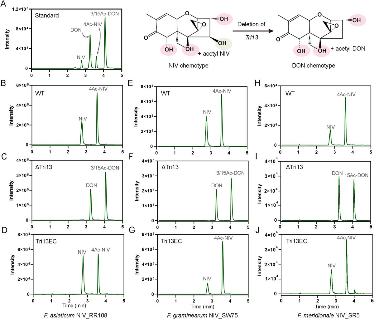 Steve Marek tweet media
