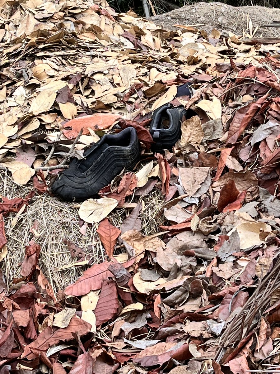 Maria Gabriela Escovar tweet media