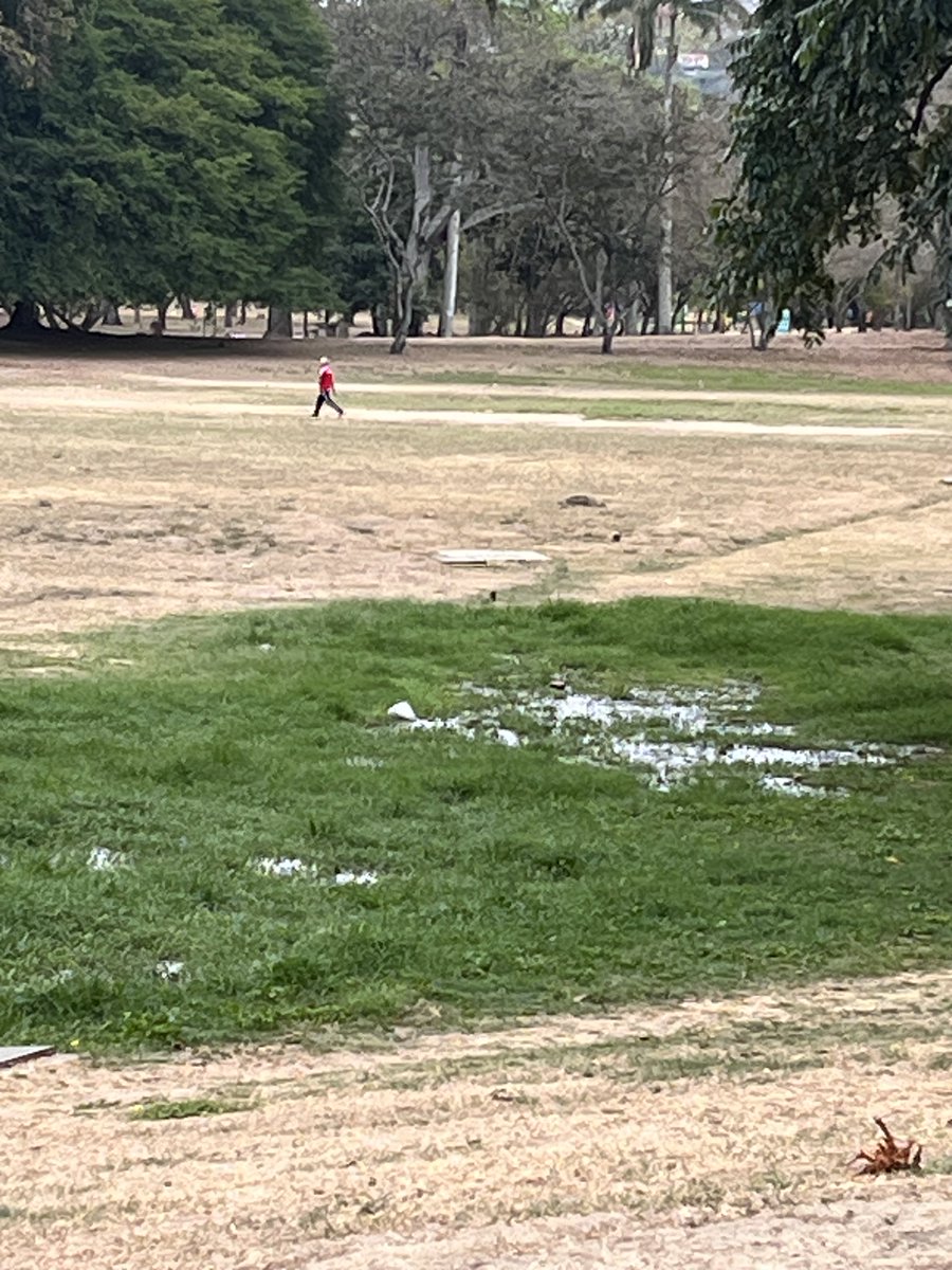 Maria Gabriela Escovar tweet media