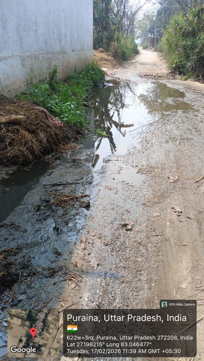 सिद्धार्थनगर
जोगिया विकास कार्यों में मचा खुला खेल सफाई व्यवस्था ध्वस्त,अधिकारी मस्त! भारी गड़बड़ी और सफाई व्यवस्था की बदहाली पर कोई ध्यान नहीं।
टोला पुरैना ग्राम पंचायत फतेपुर मे गंदगी का अंबार बजबजाती नालियां भ्रष्टाचार की दे रही गवाही 
 कागज़ों पर विकास ज़मीन पर बर्बादी।