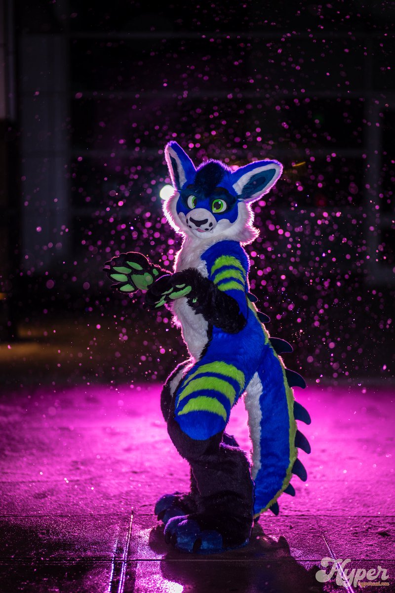 turbulence898's tweet photo. My little abomination 💙

📸- @jordanfelle https://t.co/NoGoOeH6vx