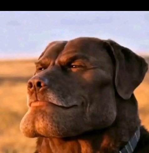 Mkichill na Dem a realize umenonji halafu akupige side eye na smile