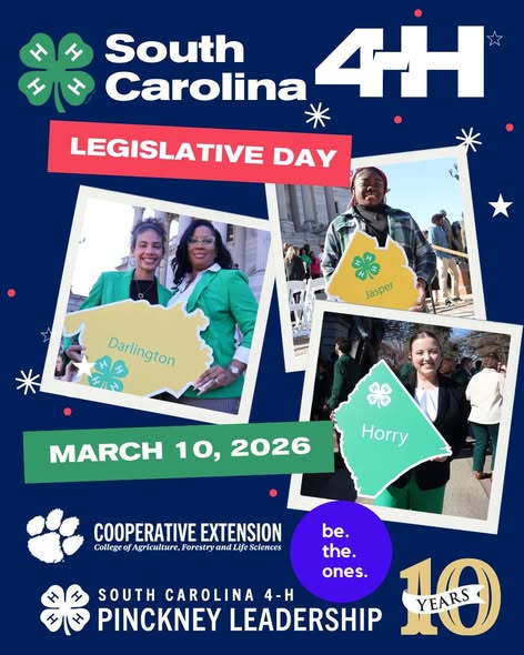 South Carolina 4-H Pinckney Leadership tweet media