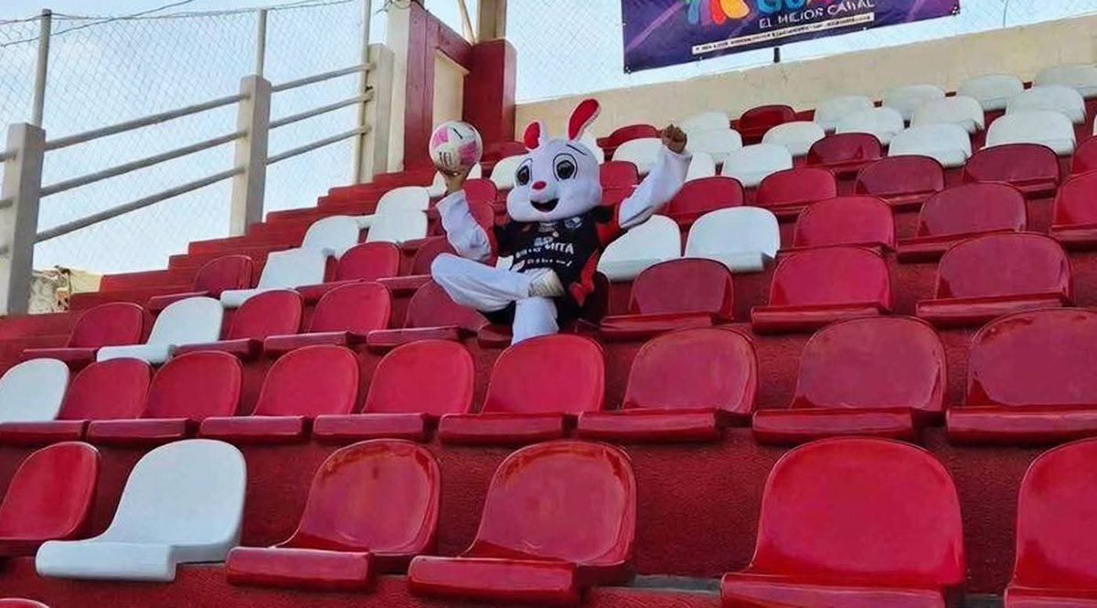 Crema Do Nascimento tweet media