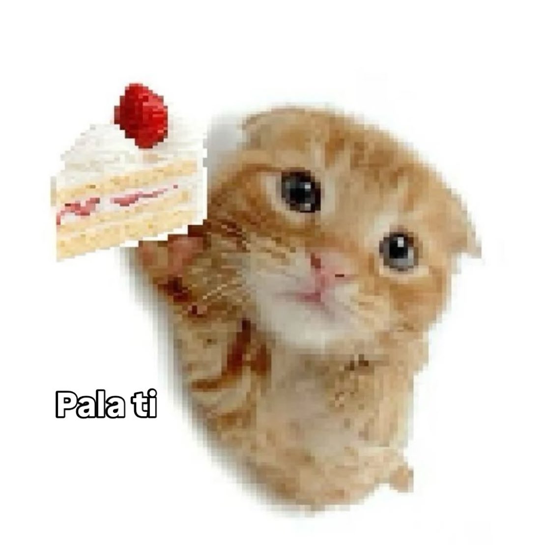 Ducky Duck (@nanobashrct) on Twitter photo 