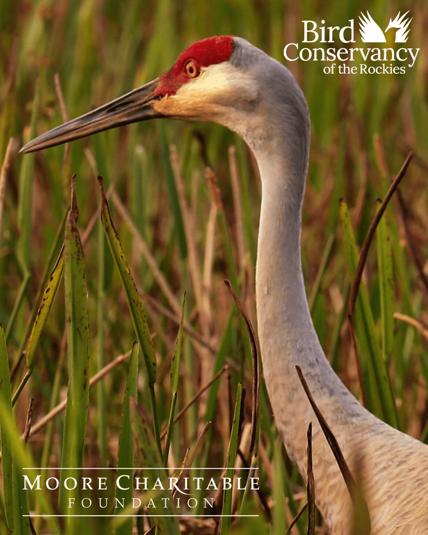 Moore Charitable tweet media