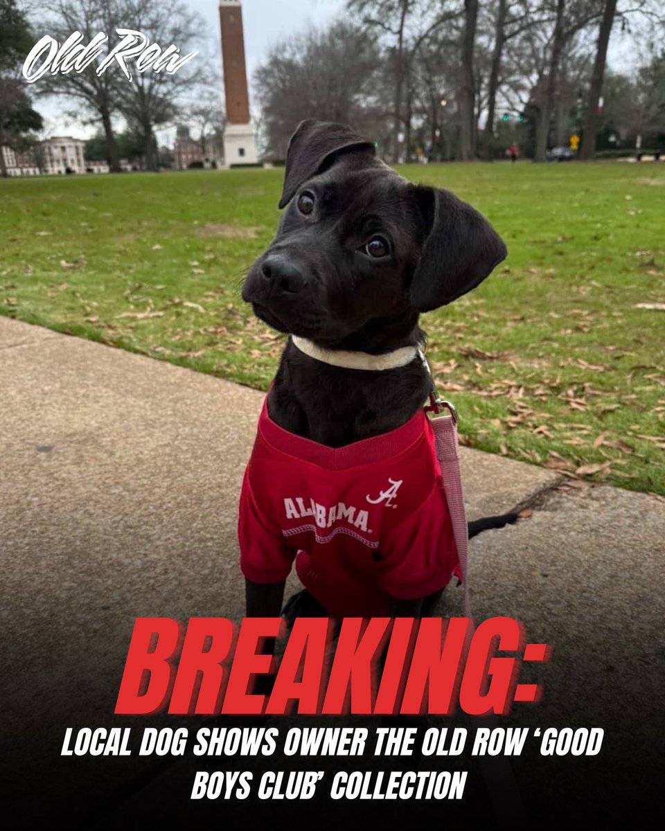 Old Row Pups tweet media