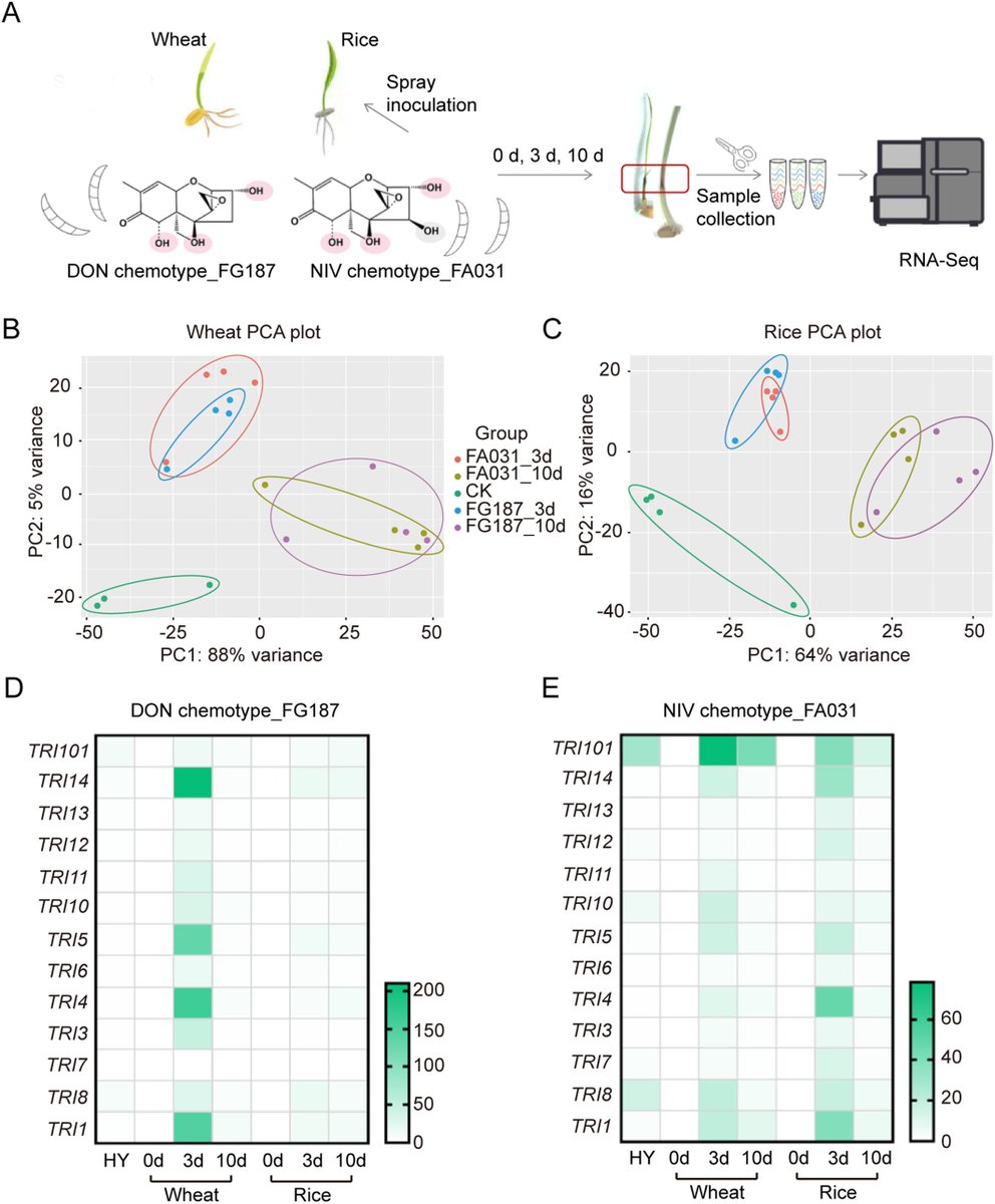 Steve Marek tweet media