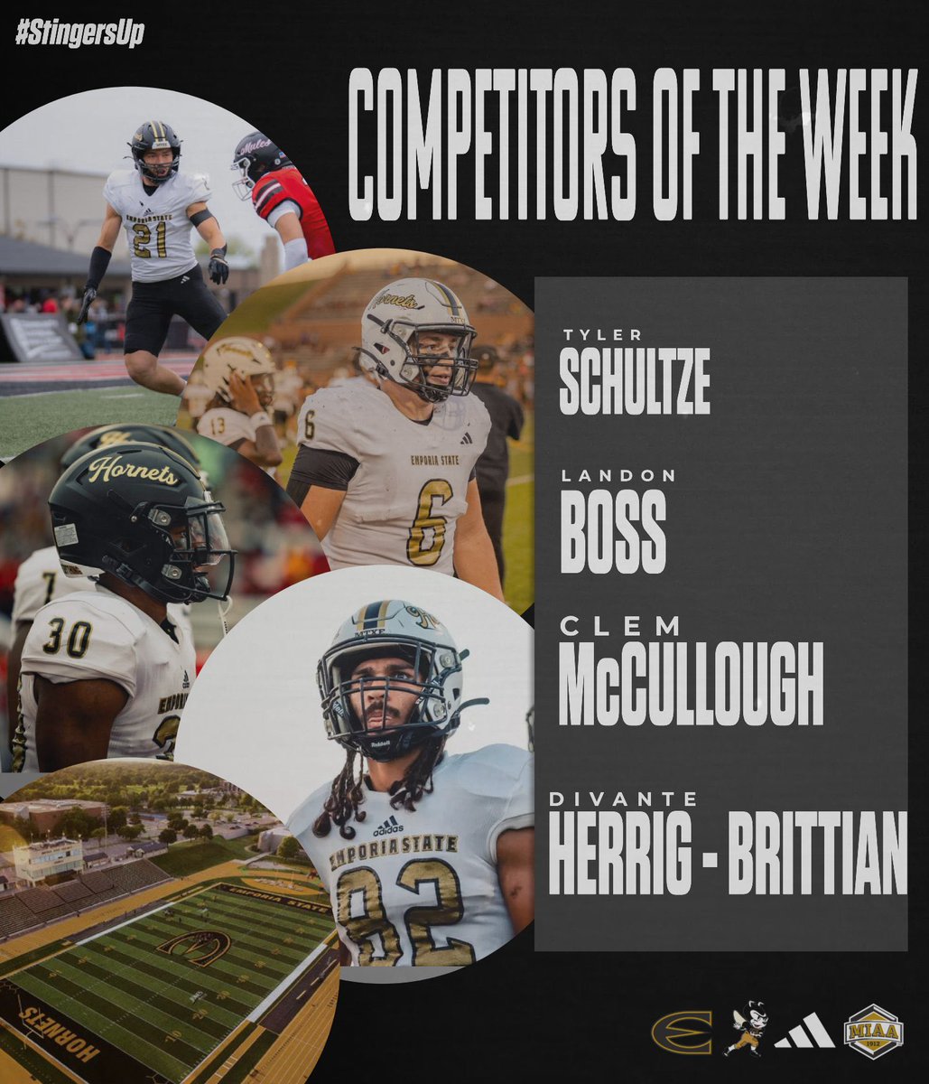 Competitors of The Week (Feb 9 - Feb 13) 💪🧱

#Stingersup🐝 | #FOE🐝🧱