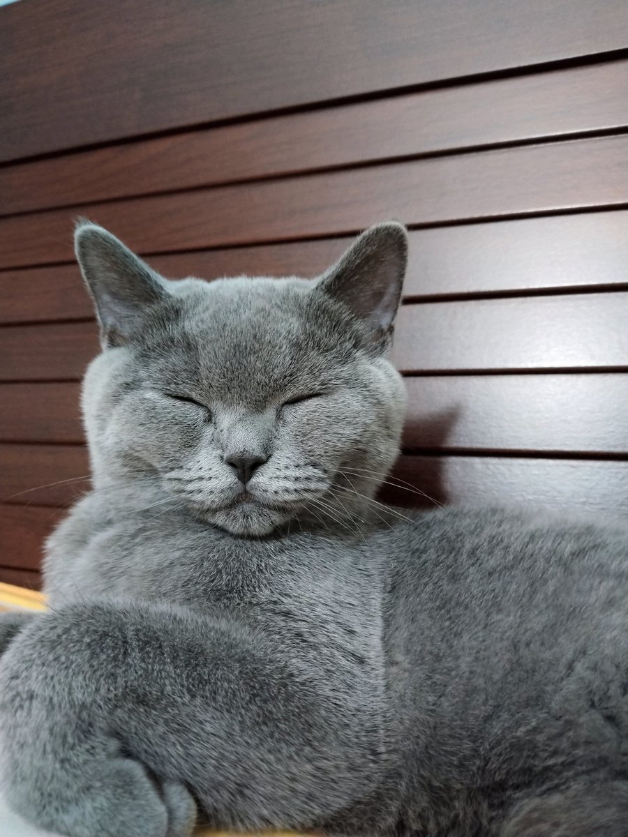 Günün kutlu olsun prenses 
😻😻😻