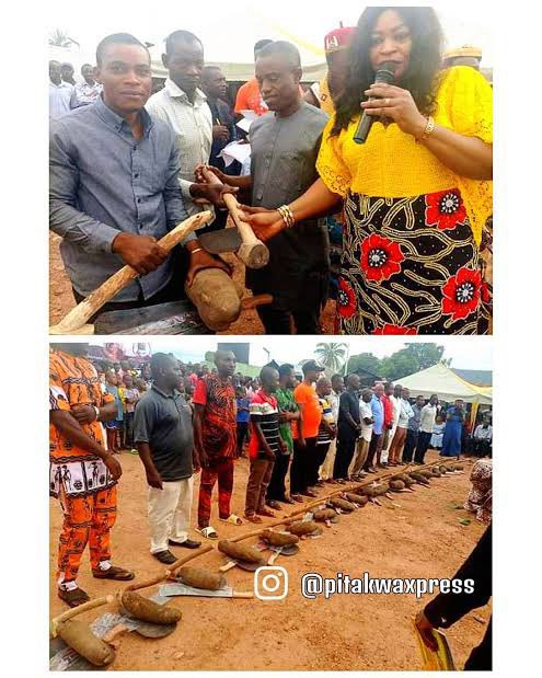 lol 😭🤣🤣 na all of us gather get useless politicians for this country but at least na councilor share those nonsense for North. Imagine a member house of assembly in Anambra distributing cassava stems to his constituents 🤡