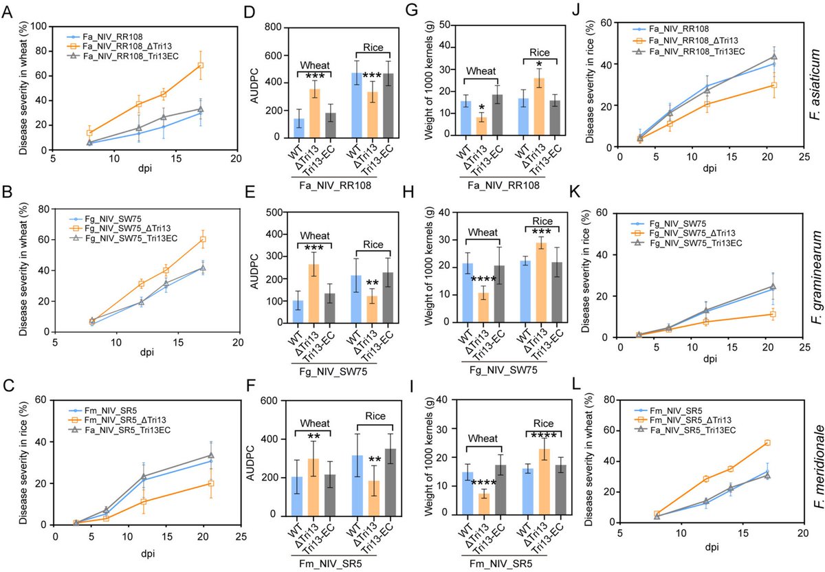 Steve Marek tweet media