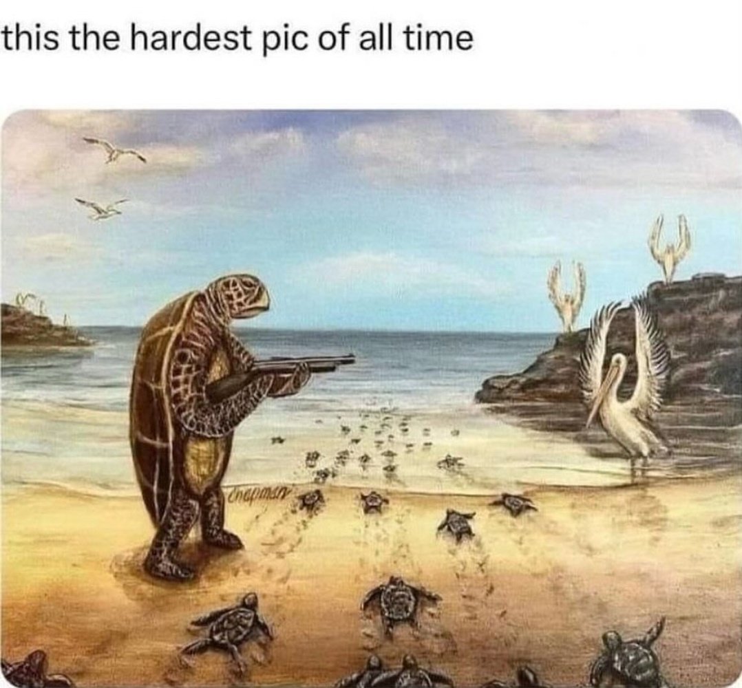 $B (@brendandagawd) on Twitter photo 