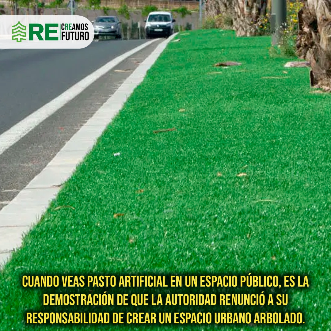 reforestacion tweet media