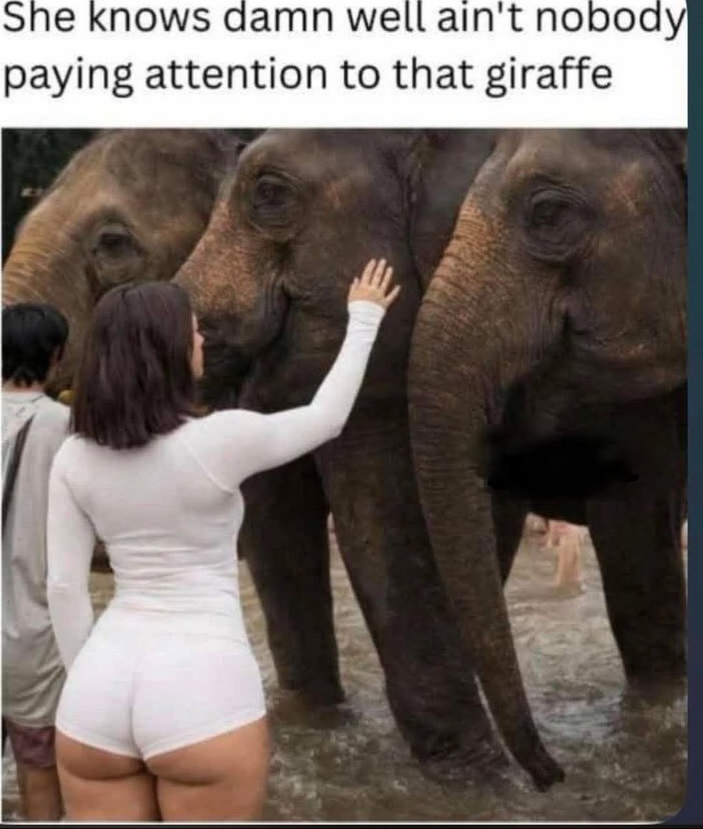 theRoddick (@originalroddick) on Twitter photo 