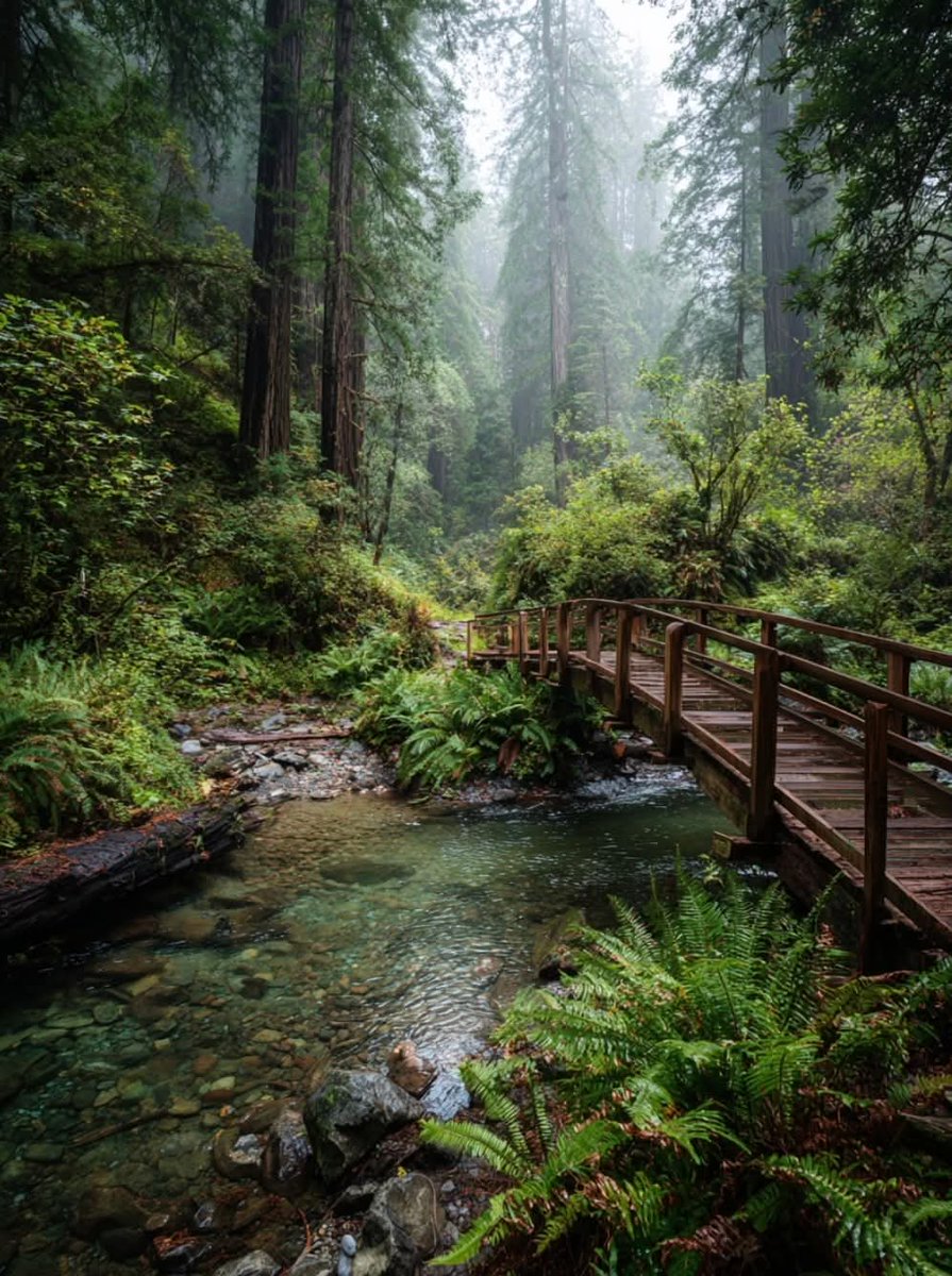 World Click (@worldclick56) on Twitter photo 