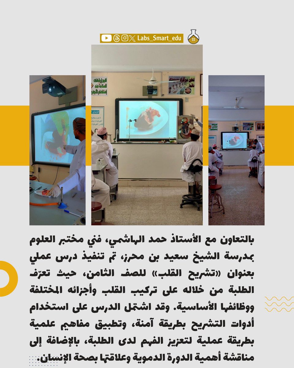 labs_Smart_edu's tweet photo. ♦️بالتعاون مع الأستاذ حمد الهاشمي، فني مختبر العلوم بمدرسة الشيخ سعيد بن محرز، تم تنفيذ درس عملي بعنوان «تشريح القلب» للصف الثامن، حيث تعرّف الطلبة من خلاله على تركيب القلب وأجزائه المختلفة ووظائفها الأساسية. وقد اشتمل الدرس على استخدام أدوات التشريح بطريقة آمنة، وتطبيق مفاهيم علمية بطريقة عملية لتعزيز الفهم لدى الطلبة، بالإضافة إلى مناقشة أهمية الدورة الدموية وعلاقتها بصحة الإنسان، بما يسهم في ترسيخ المعرفة العلمية وتطبيقها عمليًا.
#فعاليات_تعليمية_جنوب_الباطنة 
#المختبرات_الذكية_التعليمية