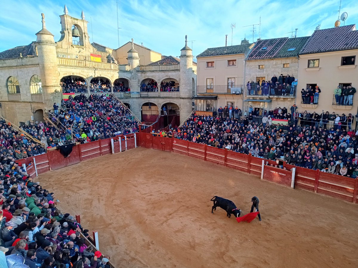 carnavaldeltoro's tweet photo. Festival Martes de Carnaval
Ganadería: J. Manuel Criado (uno de vuelta)
Lleno en los #Tablaos
M.A. Perera: 2 orejas
Borja Jimenez: oreja
M. Diosleguarde: 2 orejas
Clovis Germain: palmas https://t.co/n4vzZHE7ne