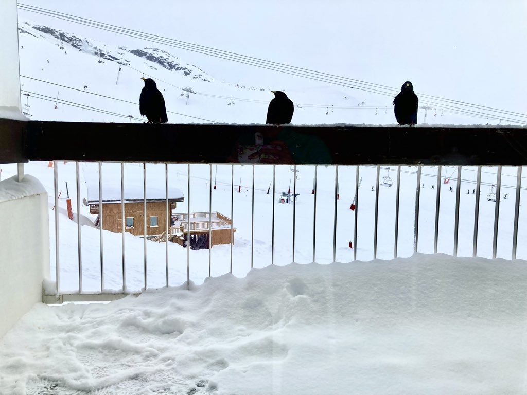 Karen wilkinson tweet media