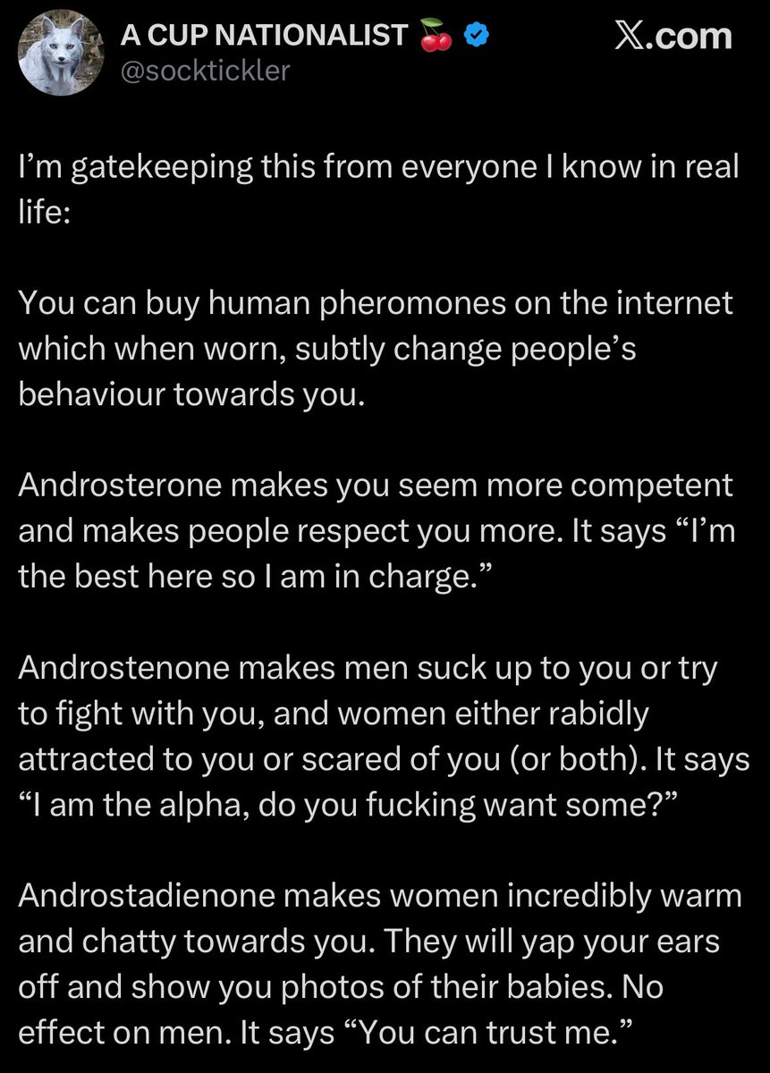 Dr Ally Louks tweet media