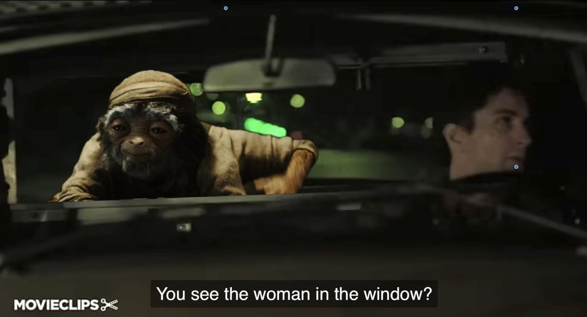 Dave Itzkoff tweet media