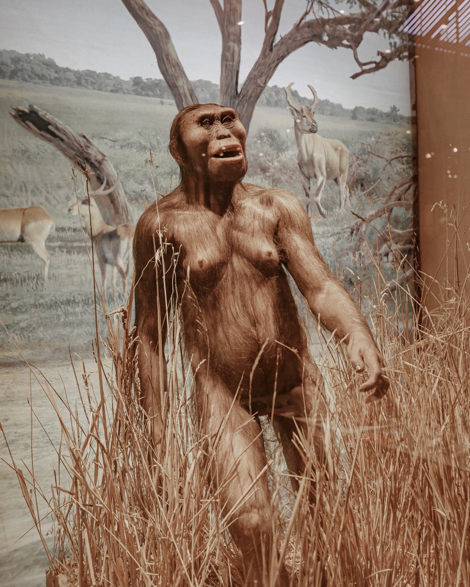 Visita_Madrid's tweet image. Un plan que mezcla ciencia, naturaleza y patrimonio. El Museo Nacional de Ciencias Naturales acerca la diversidad del planeta a través de colecciones pensadas para entender, cuidar y valorar el medio ambiente.

#Madrid #VisitMadrid #Museos #Spain