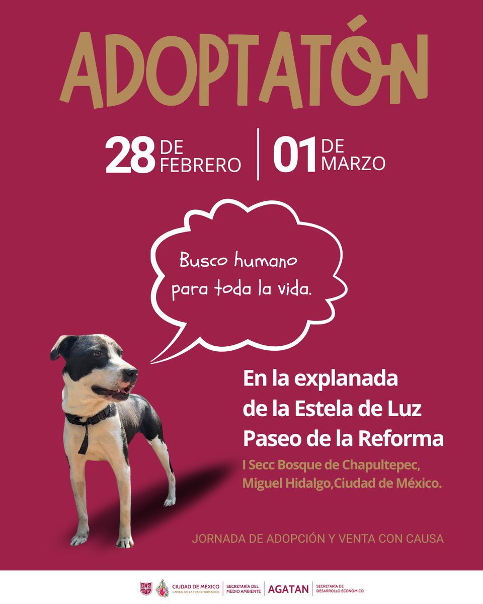Agencia de Atención Animal tweet media