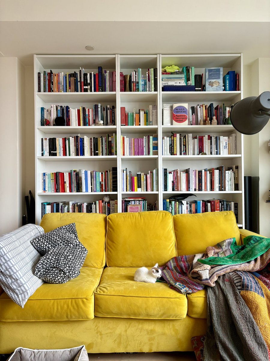 A.V. Marraccini tweet media