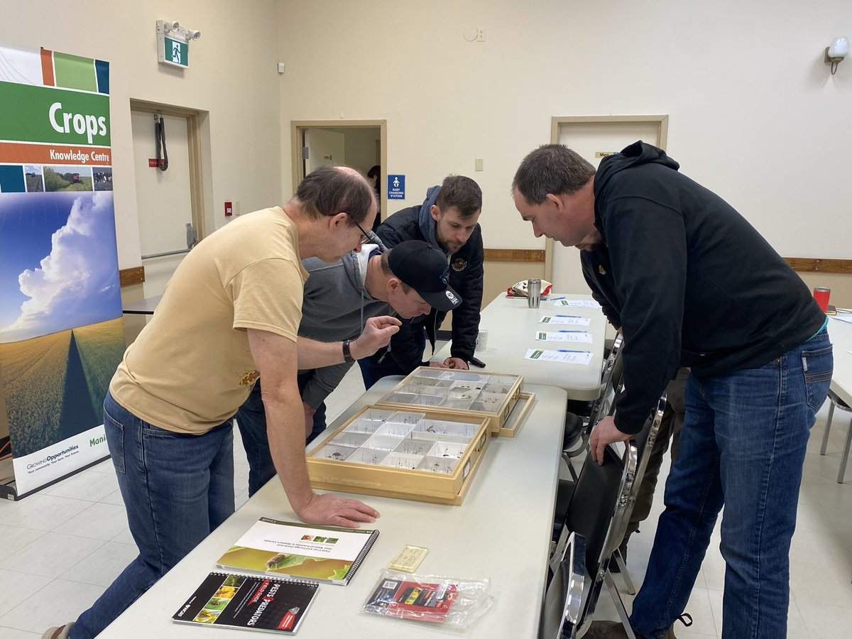 Callum Morrison tweet media